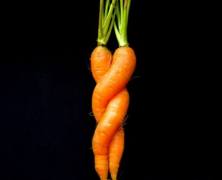 Are carrots natural?