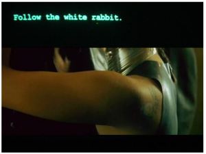 Matrix white rabbit